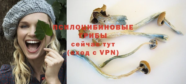 спайс Алексин