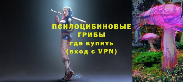 соль курить ск Алексеевка