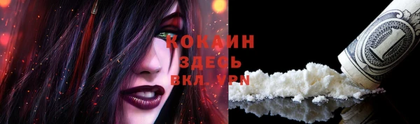 соль курить ск Алексеевка