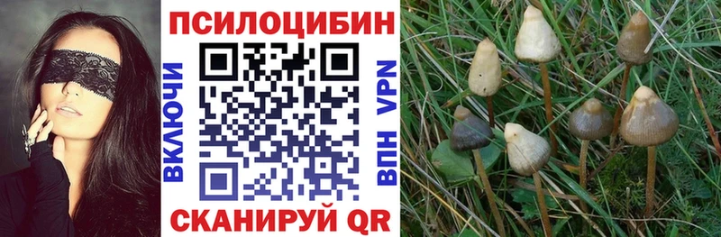 ссылка на мегу ссылка  Морозовск  Псилоцибиновые грибы Magic Shrooms 